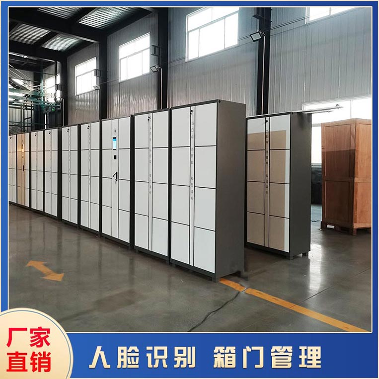 智能儲(chǔ)物柜定制原則是什么?【天瑞恒安】