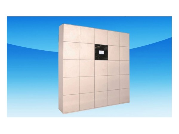 智能柜行業(yè)領(lǐng)先的共享儲(chǔ)物柜，廠家將科技與技術(shù)融合生產(chǎn)制造