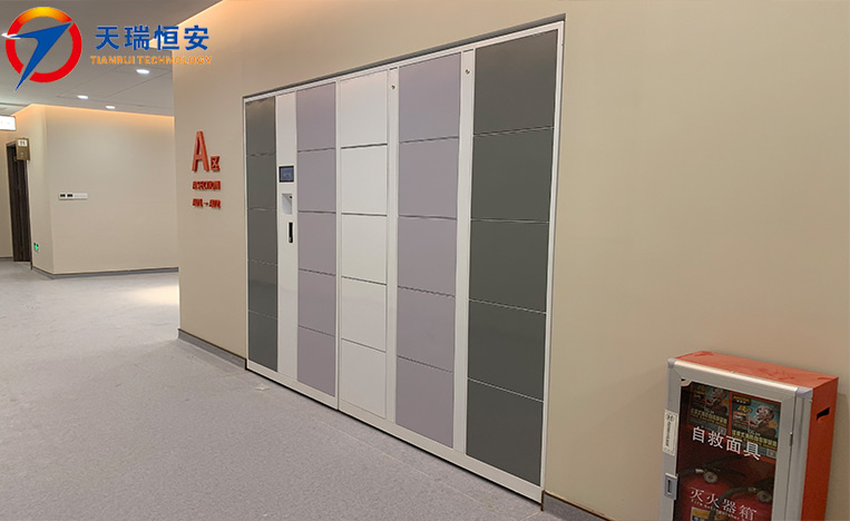 智能儲(chǔ)物柜廠家